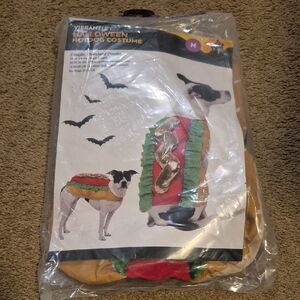 Vibrant Red and Green Halloween Pet Costumes